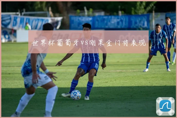 世界杯葡萄牙vs刚果金门将表现