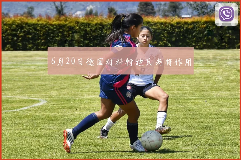 6月20日德国对科特迪瓦老将作用