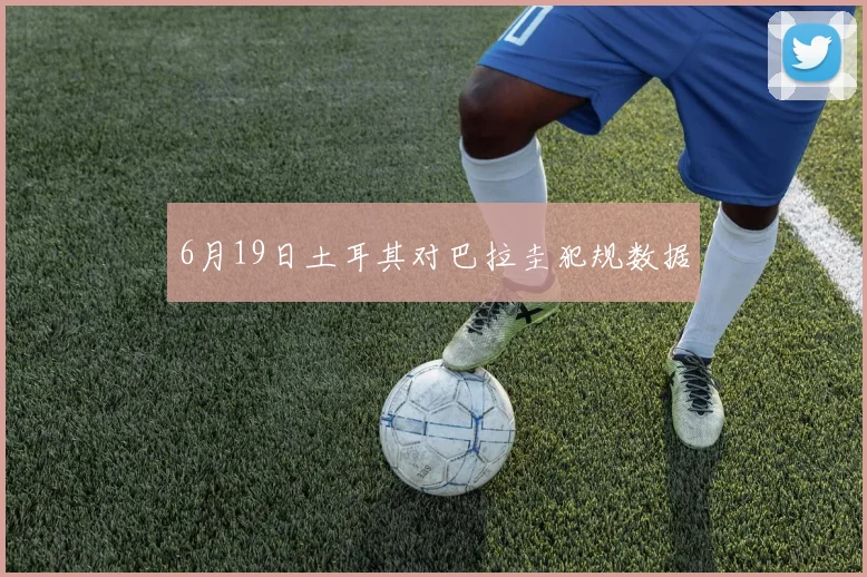 6月19日土耳其对巴拉圭犯规数据