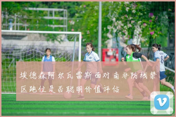 埃德森阿尔瓦雷斯面对南非防线禁区跑位是否聪明价值评估