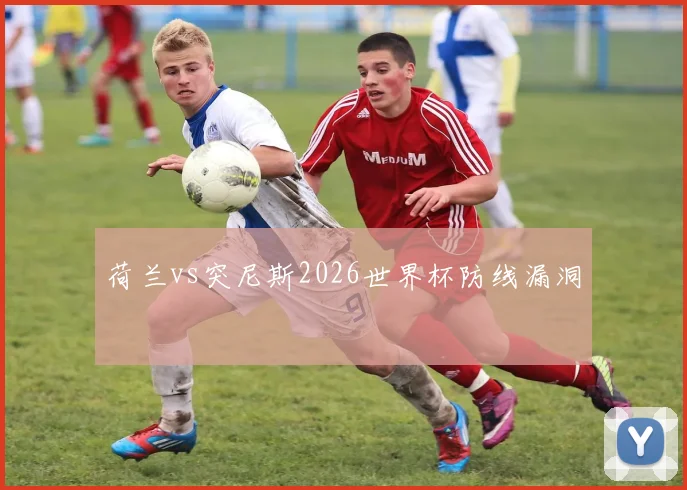 荷兰vs突尼斯2026世界杯防线漏洞