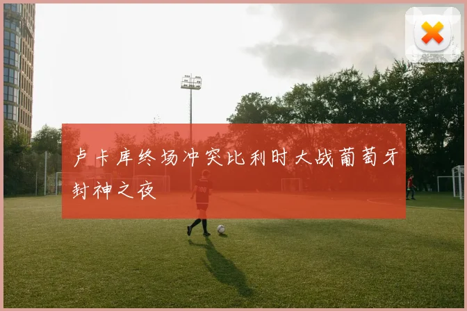 卢卡库终场冲突比利时大战葡萄牙封神之夜