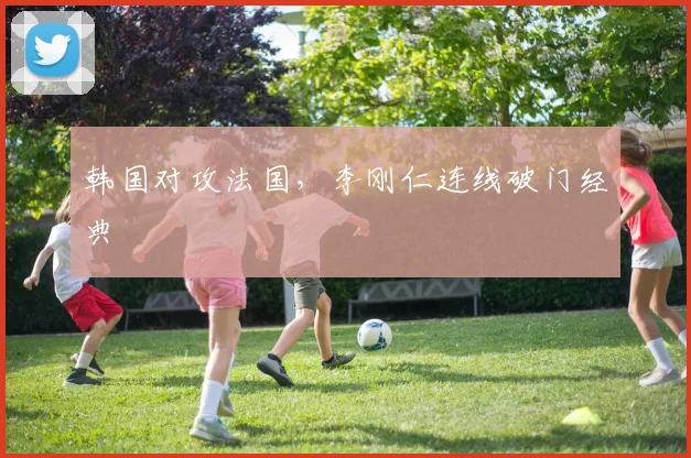 韩国对攻法国，李刚仁连线破门经典